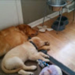 Meet your Posher, Brian